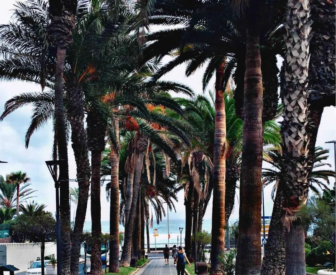 Encantador Estudio En Martianez Puerto de la Cruz  Daire Puerto de la Cruz (Tenerife)